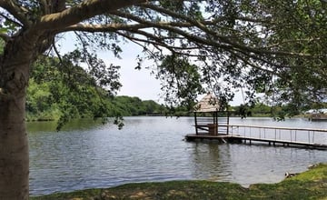 桃園龍潭｜三坑自然生態公園：一日生態古蹟遊～