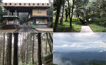 桃園復興｜東眼山國家森林遊樂區：北台灣森林系步道，高聳柳杉林，登小百岳東眼山遠眺！