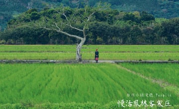 台灣小鎮漫遊 : 慢活鳳林客家庄 | 訪古菸樓話往昔、深入在地生活體驗 