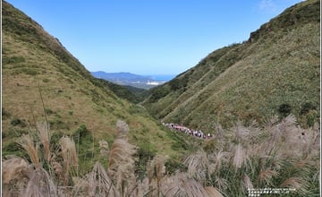 新北｜草嶺古道：漫遊古道賞芒！登高眺望龜山島，美景和知性兼具的健行步道