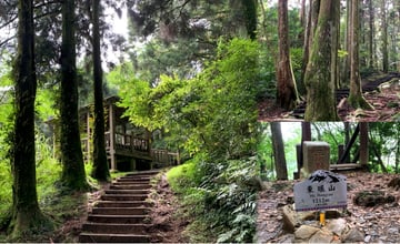 桃園｜東眼山自導式步道：上山避暑享受森林浴，沁涼系小百岳步道！