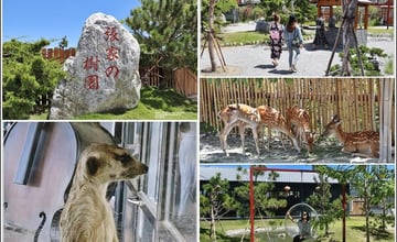 花蓮｜張家の樹園：穿浴衣打卡日式庭園！親近梅花鹿、狐獴、小白兔