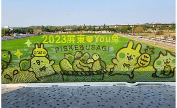 2023屏東熱帶農業博覽會登場！一起尋找粉紅兔兔和Ｐ助，彩繪稻田、迎春花海、瓜果長廊等你拍