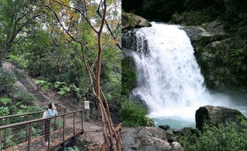 全台｜精選13個國家森林遊樂區：磅礡瀑布、森林步道，還有神秘溶洞！園��特色、季節限定美景報給你