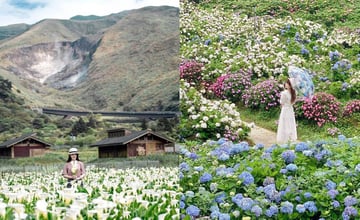 台北｜陽明山竹子湖一日遊這樣排：海芋季及繡球花季接力報到！賞花秘境與步道、必玩景點一次看！