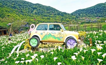 台北｜名陽匍休閒農莊：淡黃海芋花海綻放山巒之間，陽明山春季限定打卡聖地