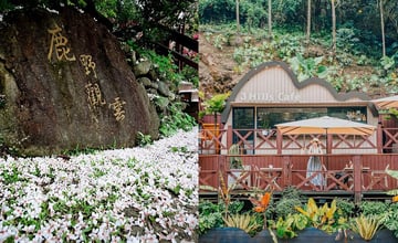 苗栗｜賞桐一日遊：桐花祭活動4/21開跑、熱門景點步道及順遊景點一次看！