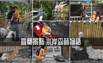 宜蘭｜水岸森林物語動物園區：結合可愛動物與水岸湖畔餐廳，和水豚、笑笑羊、柯爾鴨近距離互動