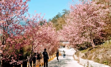 新竹｜15處必玩、必吃景點總整理：自然秘境、各式美食通通有，每一個都超值得去！