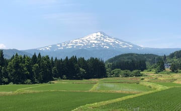 日本｜秋田的夏日精彩無比！鳥海山、元瀧伏流水、中島台獅子鼻濕原，還有季節限定稻田藝術不容錯過！