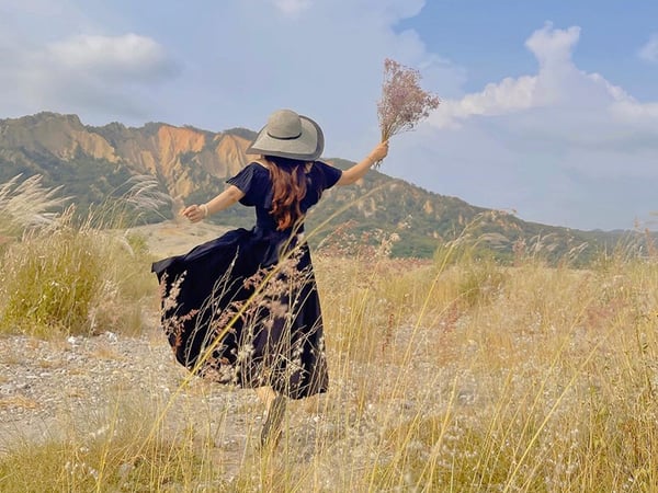 苗栗,火炎山,芒花,火炎山草原秘境