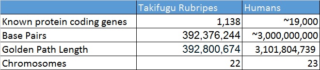 Genome Comparison Takifugu Rubripes v. Humans.jpg