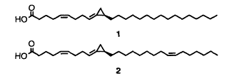 Amphimic acids.gif