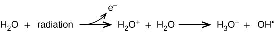 CNX Chem 21 06 Hydroxyrad img.png