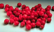 CDC cranberry2.jpg