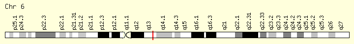 CGAS-gene location.png