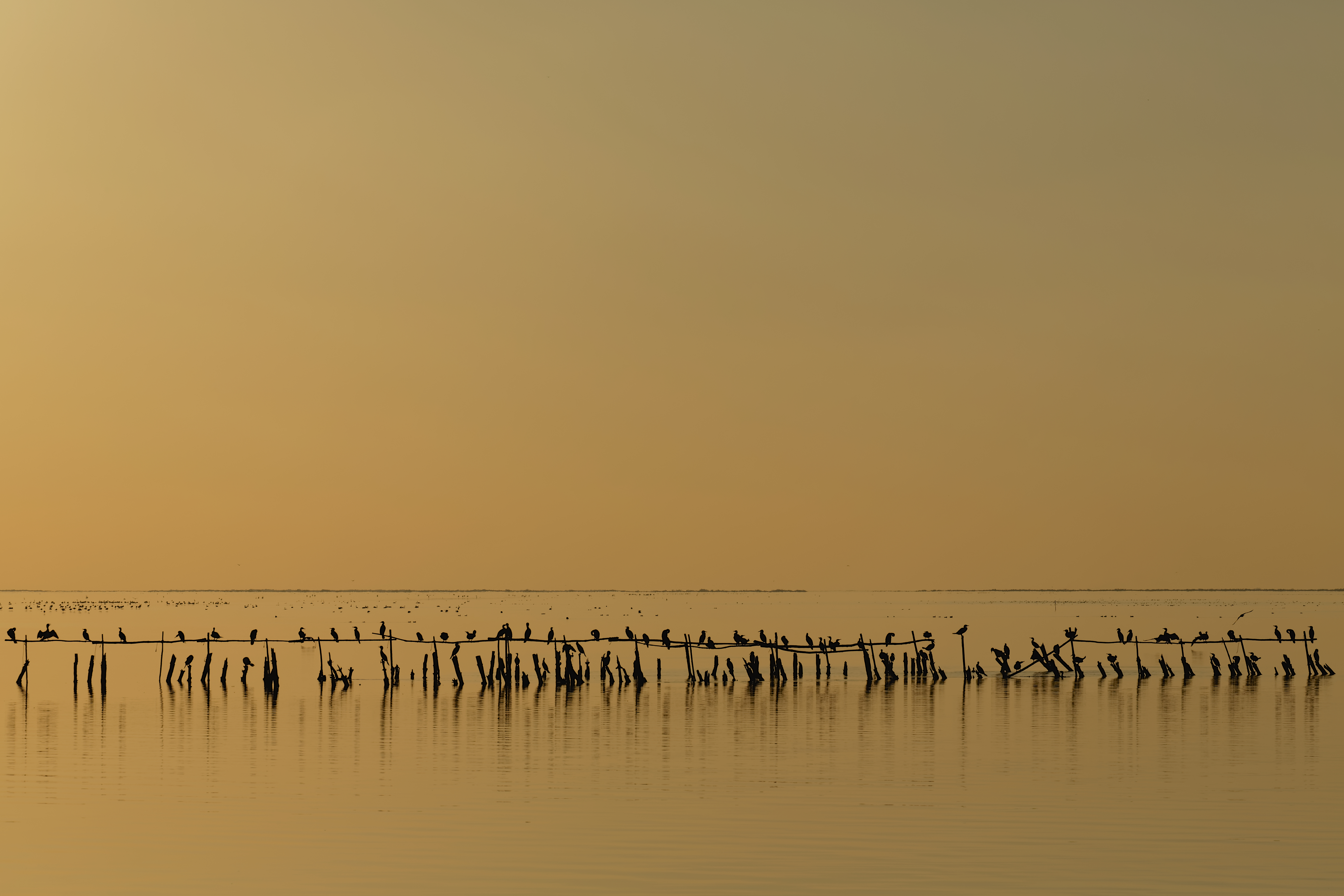 Étang de Vaccarès in Parc naturel régional de Camargue, Provence-Alpes-Côte d‘Azur, France, by Didier Devèze (Ddeveze)