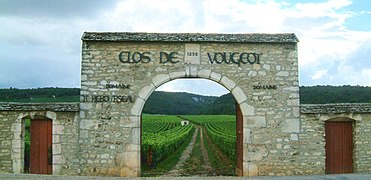 Clos de Vougeot 01.jpg