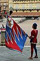 Flag bearer during a parade at the piazza del Campo