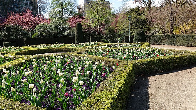 Garden hedhe in Belgium.