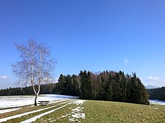 Rastplatz bei Speichersdorf - panoramio.jpg