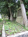 Deutsch: Jüdischer Friedhof in Bleicherode, Thüringen