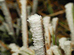 2013-12-13 08-01-43 givre.jpg