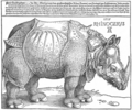 Albrecht Dürer, The Rhinoceros. Germany, AD 1515