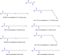 Gamma-oxocrotonic acids in Hygrophorus eburneus.png