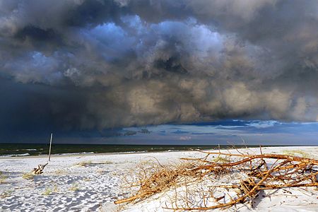 Beach at Białogóra in the Coastal Landscape Park, by user:Ajriszzona