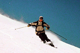 alpine skier