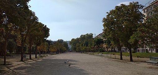 Villa Comunale: viale centrale