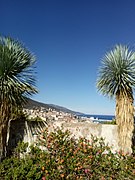 Vue sur Bastia.Photo prise du haut des jardins du palais du gouverneur.jpg