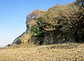 Les falaises près du Fret à l'est de Porzh Cave 1.