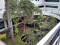 Plants in a small green between Terminals 1 and 2 outdoors at Bangok DMK Airport in August 2013