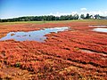 Lake Notoro 能取湖