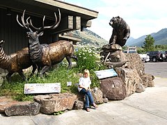 Tourist centre, Jackson Hole Wyoming - panoramio.jpg