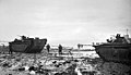 LVT Buffalo amphibians during the invasion of Walcheren Island. 1/11/1944.