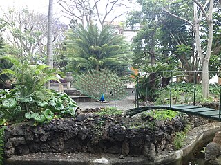 Botanical garden in Arucas
