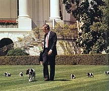 George H. W. Bush with Millie and puppies (cropped).jpg