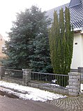 Thumbnail for File:Ruhland, Heinrich-Heine-Str. 6a, Spanische Tanne (Abies pinsapo) im Vorgarten, Winter, 01.jpg