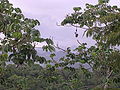 View from Canopy Tower in Gamboa, Panama