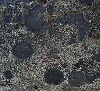 Rock based lichen Gorrie, Western Australia.jpg