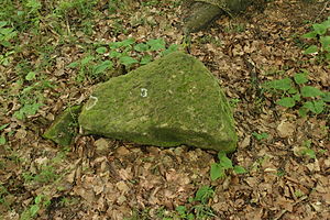 Burgstall Flüglingen - Bearbeiteter Sandstein auf der Oberfläche des Burghügels (Juni 2013)