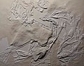 regiowiki:Datei:“Fossil 1”, 120 x 150 cm, Textilien + Stucco auf Holz, 2020, Foto Traxl.jpg