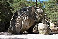 Forest of Fontainebleau