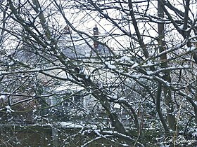 Branches and House covered in Snow, Prestatyn