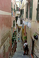 Alley in Vernazza