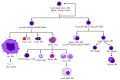 Arabic (partly raster)