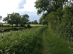 Grand Union Canal Towpath - geograph.org.uk - 4997362.jpg